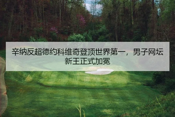 辛纳反超德约科维奇登顶世界第一，男子网坛新王正式加冕